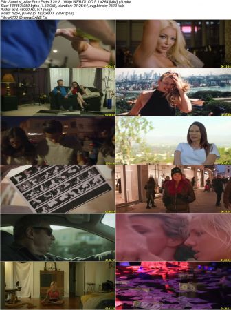 After Porn Ends 3 2018 1080p WEB-DL DD 5.1 x264 MW