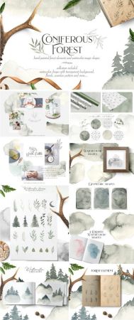 Coniferous forest collection - 2706919