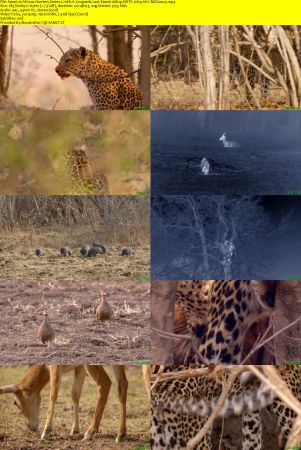 Smithsonian Earth - Africas Hunters: Series 1 (2015) 1080p HDTV x264 AAC MVGroup