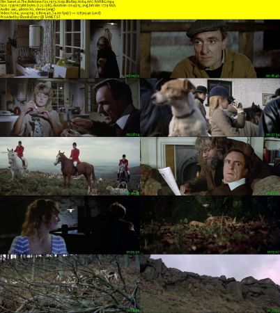The Belstone Fox 1973 720p BluRay H264 AAC-RARBG