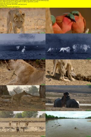 Smithsonian Earth - Africas Hunters: Series 1 (2015) 1080p HDTV x264 AAC MVGroup