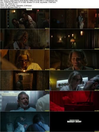 Hotel Artemis 2018 BluRay 1080p DTS-HD MA 5.1 x264-MTeam