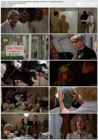 The Jerk 1979 1080p BluRay x265 HEVC 10bit AAC 5.1 FreetheFish QXR