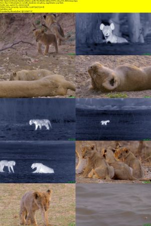 Smithsonian Earth - Africas Hunters: Series 1 (2015) 1080p HDTV x264 AAC MVGroup