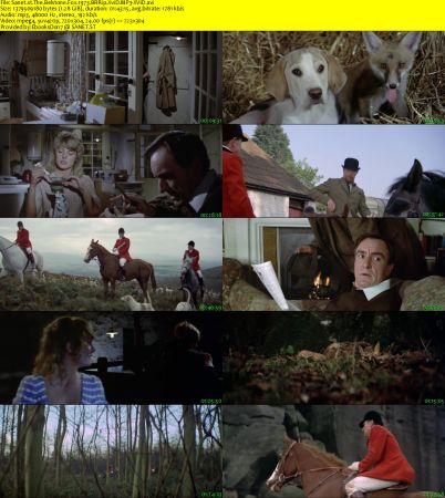 The Belstone Fox 1973 BRRip XviD MP3-XVID