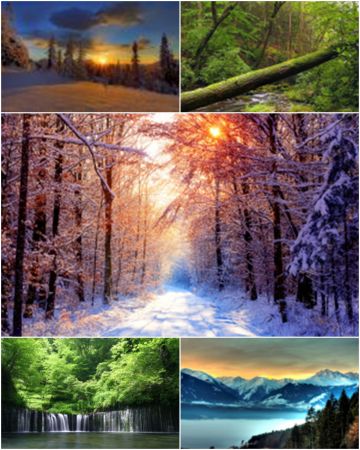 Most Wanted Nature Widescreen Wallpapers #053