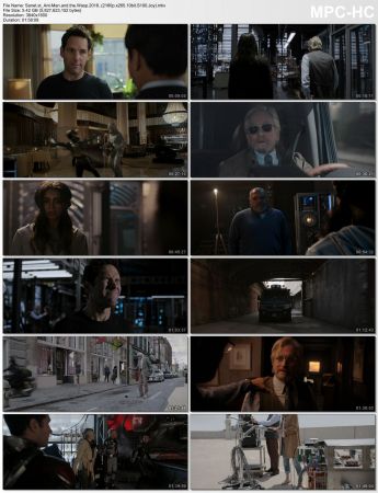Ant-Man and the Wasp 2018 2160p x265 10bit S100 Joy UTR