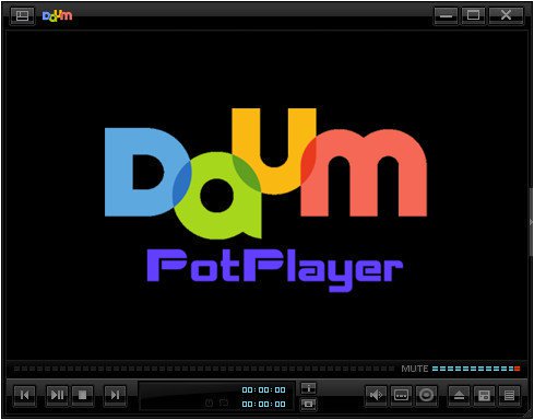 potplayer install additional codec