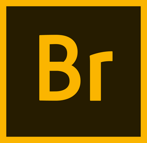 Adobe Bridge CC 2019 v9.0.1.216 Multilingual