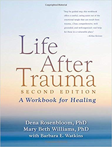 Life After Trauma, Second Edition: A Workbook for Healing 