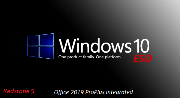 Windows 10 Pro X64 RS5 incl Office 2019 en-US November 2018