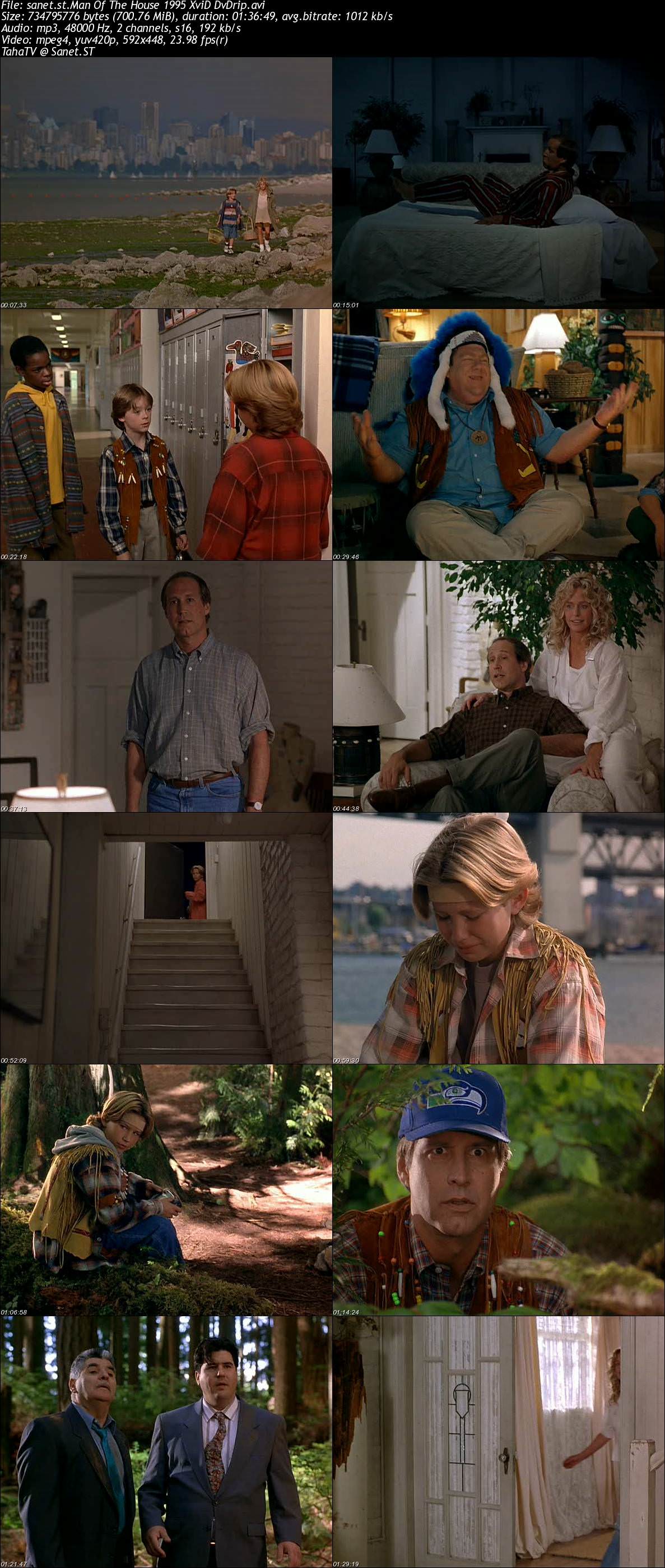man of the house 1995 streaming