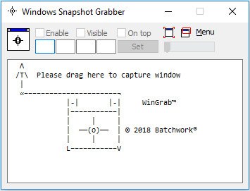 Windows Snapshot Grabber 2019.11.504.2689
