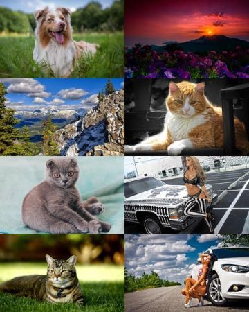 Desktop Wallpapers Mixed Pack # 685