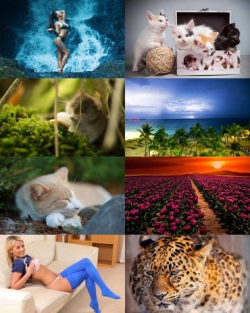 Desktop Wallpapers Mixed Pack # 698