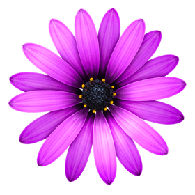 TextMate 2.0 RC17 macOS 