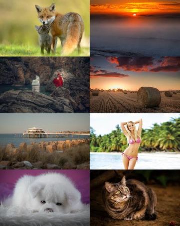 Desktop Wallpapers Mixed Pack # 693