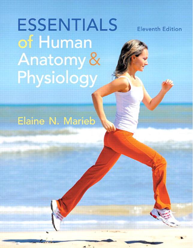 Download Essentials of Human Anatomy & Physiology (11th Edition