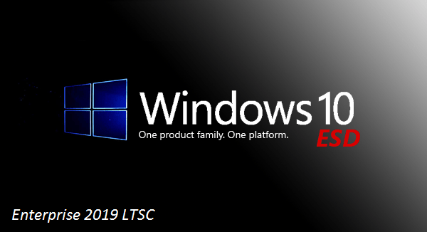 Windows 10 Enterprise 2019 LTSC X64 ESD en-US November  2018