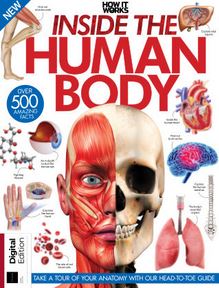 How It Works: Inside the Human Body 3rd Edition