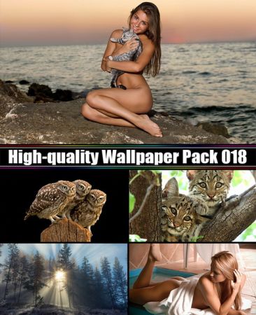 High-quality Wallpaper Pack 018
