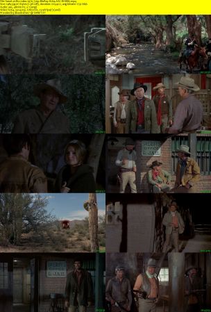 Rio Lobo 1970 720p BluRay H264 AAC-RARBG