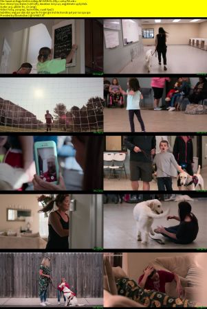 Dogs 2018 S01 1080p NF WEBRip DD5.1 x264-PiA