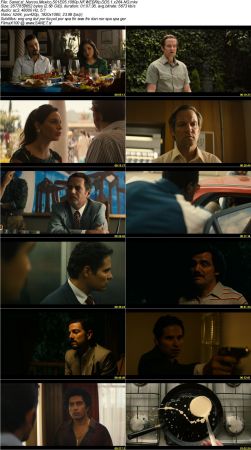 Narcos Mexico 2018 S01 1080p NF WEBRip DD5.1 x264-NG