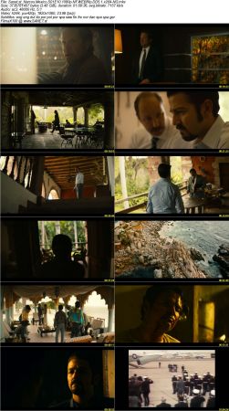 Narcos Mexico 2018 S01 1080p NF WEBRip DD5.1 x264-NG