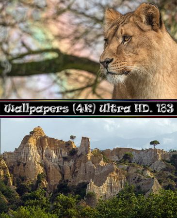 Desktop Wallpapers (4K) Ultra HD. Part (183)