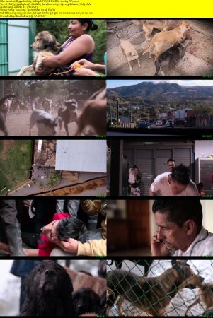 Dogs 2018 S01 1080p NF WEBRip DD5.1 x264-PiA