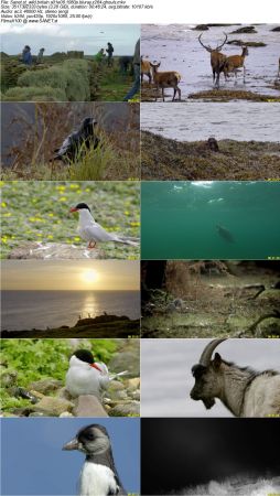 Wild Britain S01 1080p BluRay x264-GHOULS