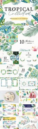 Tropical Collection - 3066117