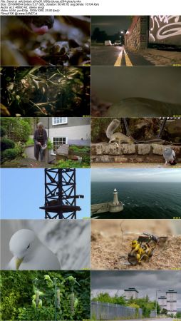 Wild Britain S01 1080p BluRay x264-GHOULS