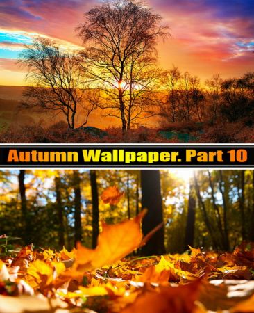 Autumn Wallpaper Part 10