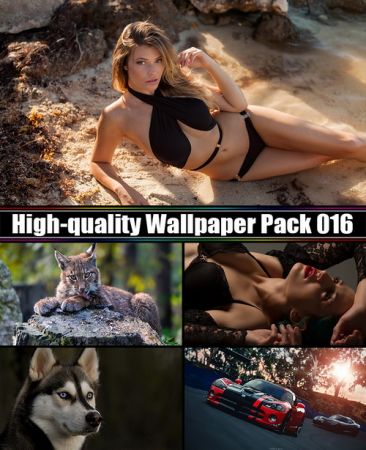 High-quality Wallpaper Pack 016