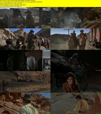 The Professionals 1966 BRRip XviD MP3-XVID