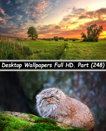 Desktop Wallpapers Full HD. Part (248)