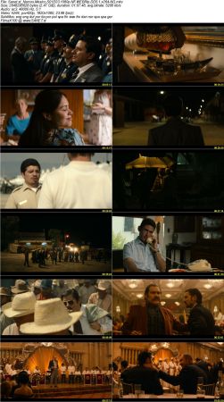 Narcos Mexico 2018 S01 1080p NF WEBRip DD5.1 x264-NG