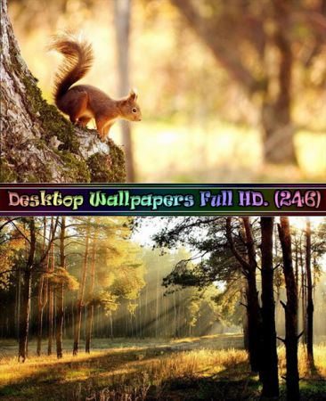 Desktop Wallpapers Full HD. Part (246)  