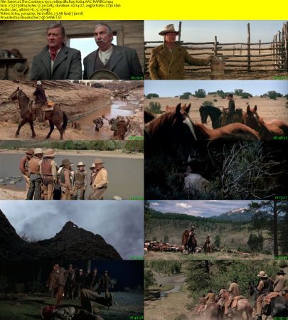 The Cowboys 1972 1080p BluRay H264 AAC-RARBG