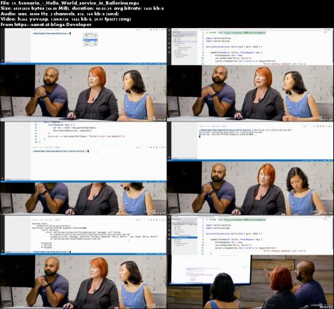 Agile Software Development: Pair and Mob Programming