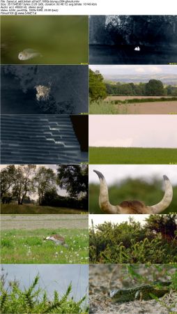 Wild Britain S01 1080p BluRay x264-GHOULS