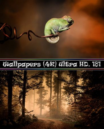 Desktop Wallpapers (4K) Ultra HD. Part (181)