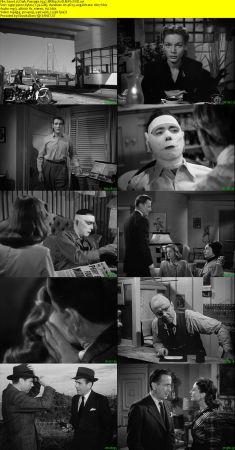 Dark Passage 1947 BRRip XviD MP3-XVID