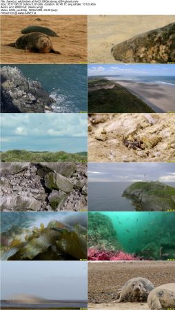 Wild Britain S01 1080p BluRay x264-GHOULS