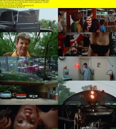 Brewster McCloud 1970 1080p BluRay H264 AAC-RARBG