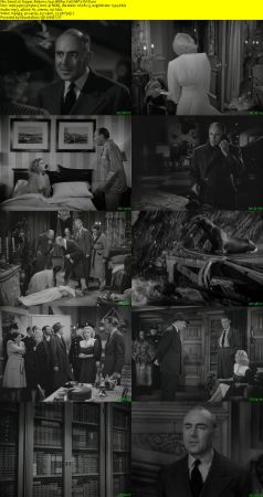 Topper Returns 1941 BRRip XviD MP3-XVID