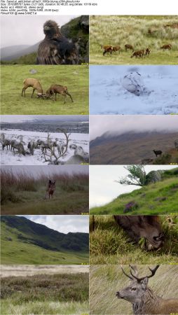 Wild Britain S01 1080p BluRay x264-GHOULS