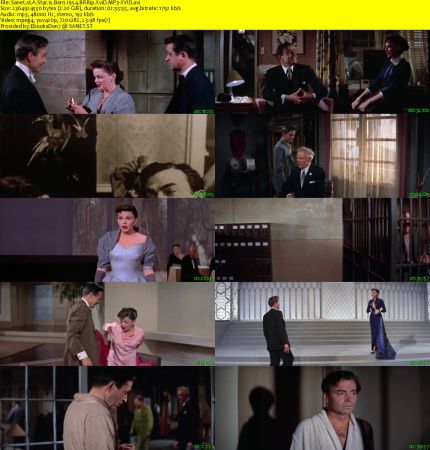 A Star is Born 1954 BRRip XviD MP3-XVID